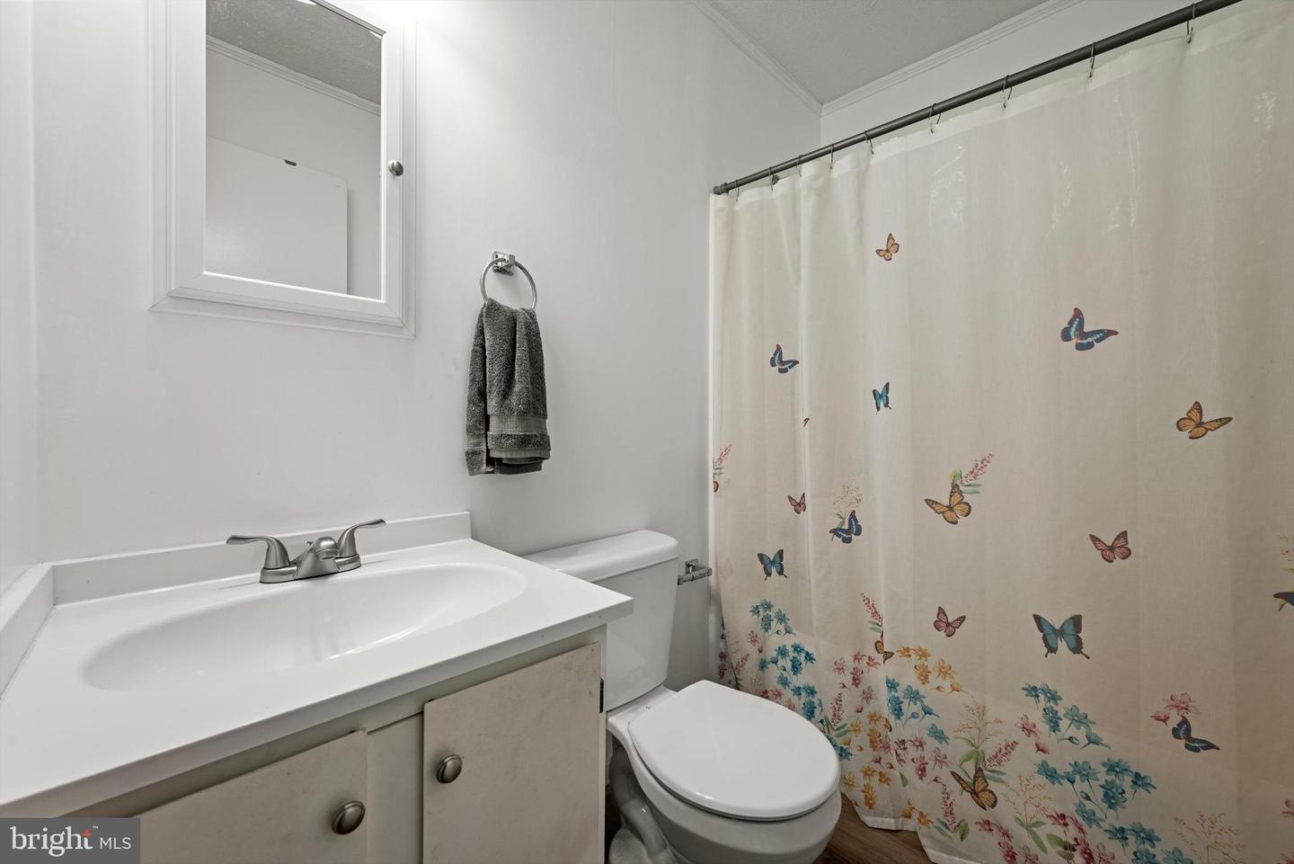 406 CARROLL DR, STEPHENS CITY, Virginia 22655, 3 Bedrooms Bedrooms, ,1 BathroomBathrooms,Residential,For sale,406 CARROLL DR,VAFV2037040 MLS # VAFV2037040