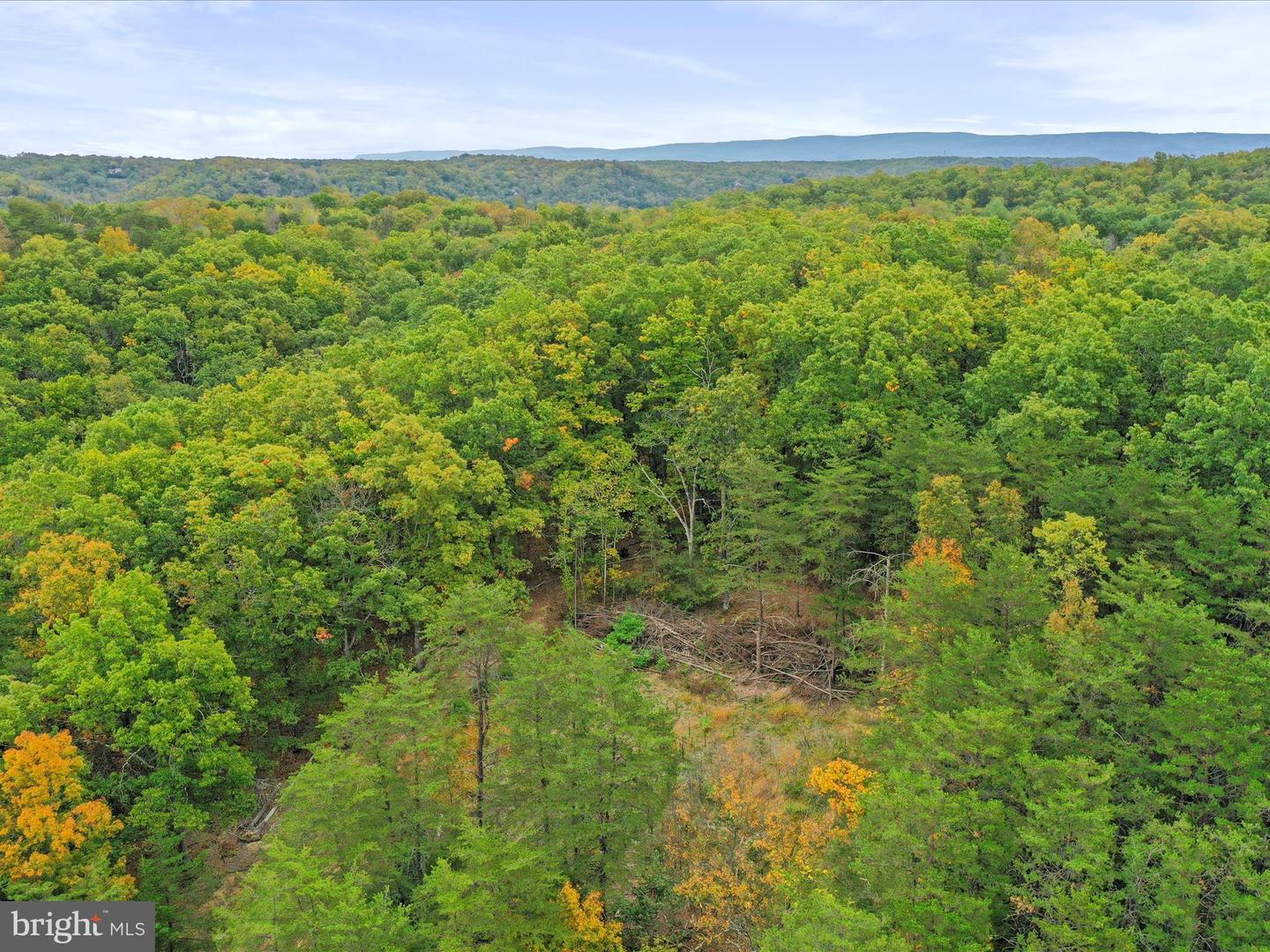 ANDREWS, STRASBURG, Virginia 22657, ,Land,For sale,ANDREWS,VAWR2012334 MLS # VAWR2012334