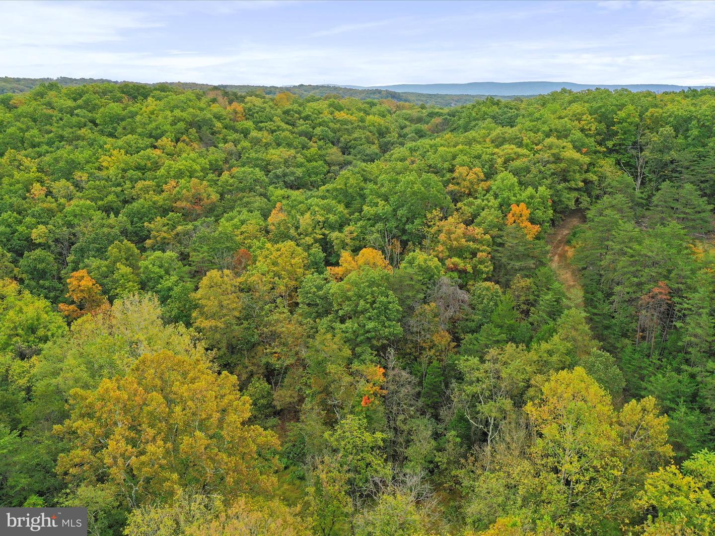 ANDREWS, STRASBURG, Virginia 22657, ,Land,For sale,ANDREWS,VAWR2012334 MLS # VAWR2012334