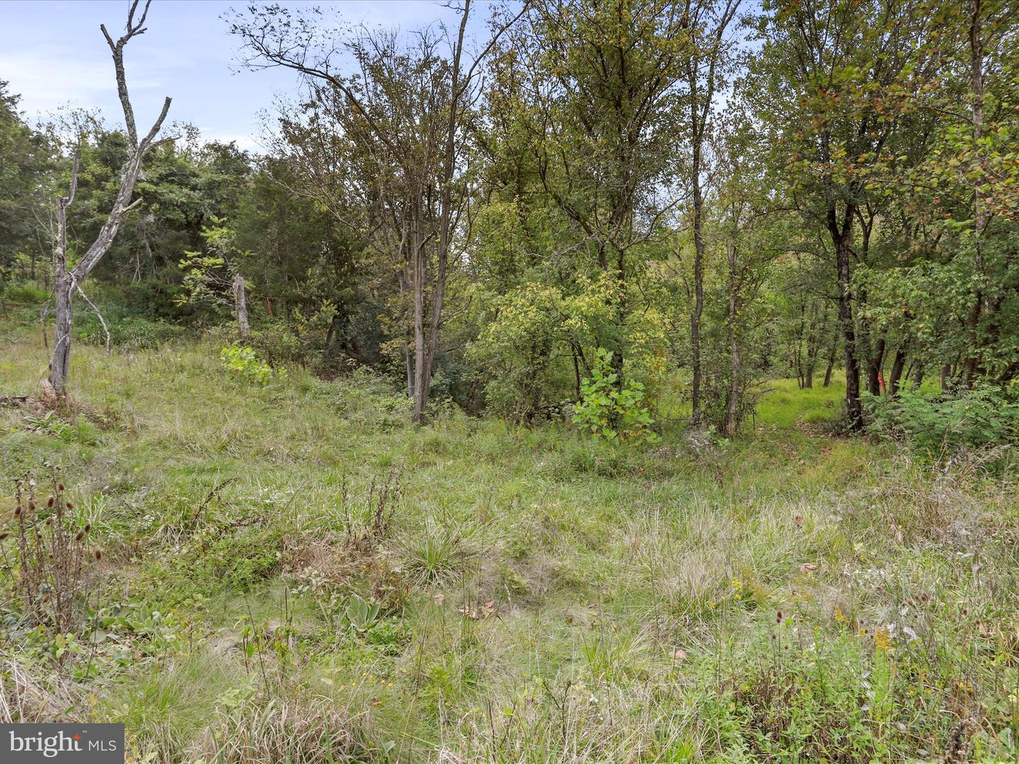 ANDREWS, STRASBURG, Virginia 22657, ,Land,For sale,ANDREWS,VAWR2012334 MLS # VAWR2012334