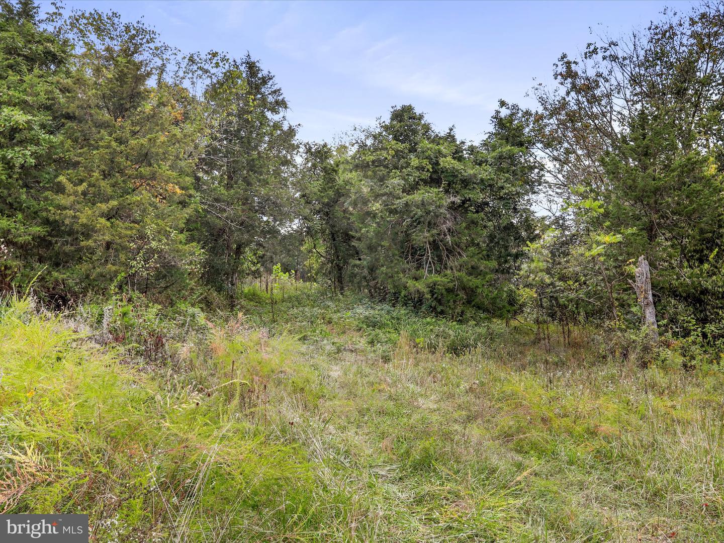 ANDREWS, STRASBURG, Virginia 22657, ,Land,For sale,ANDREWS,VAWR2012334 MLS # VAWR2012334