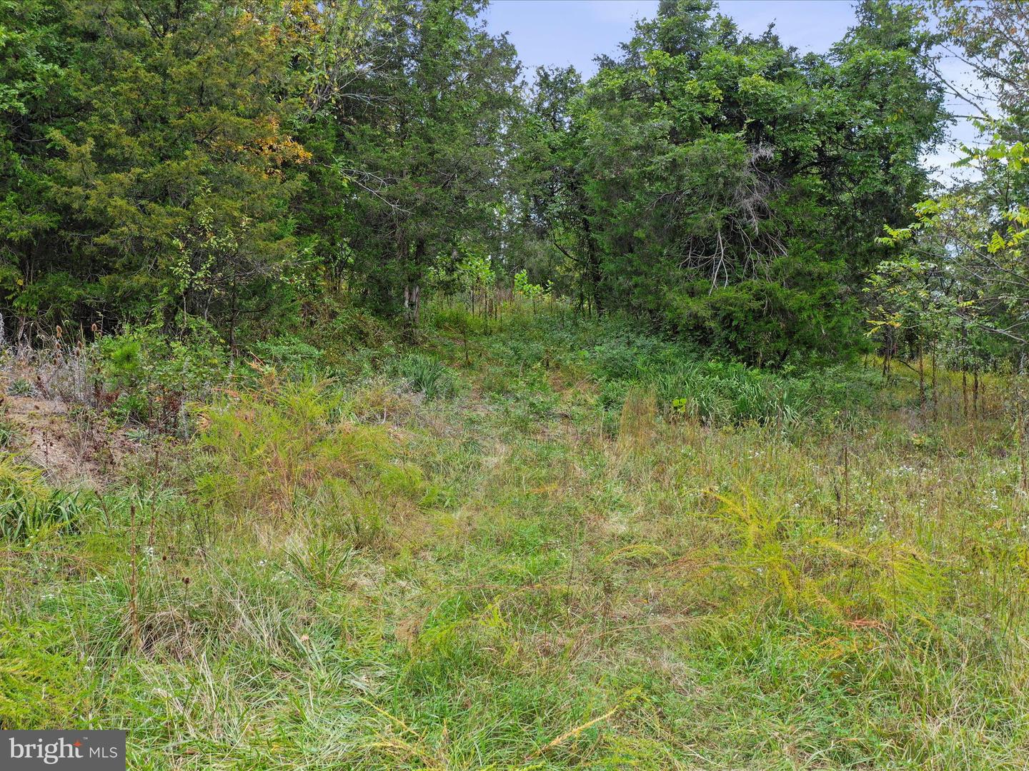 ANDREWS, STRASBURG, Virginia 22657, ,Land,For sale,ANDREWS,VAWR2012334 MLS # VAWR2012334