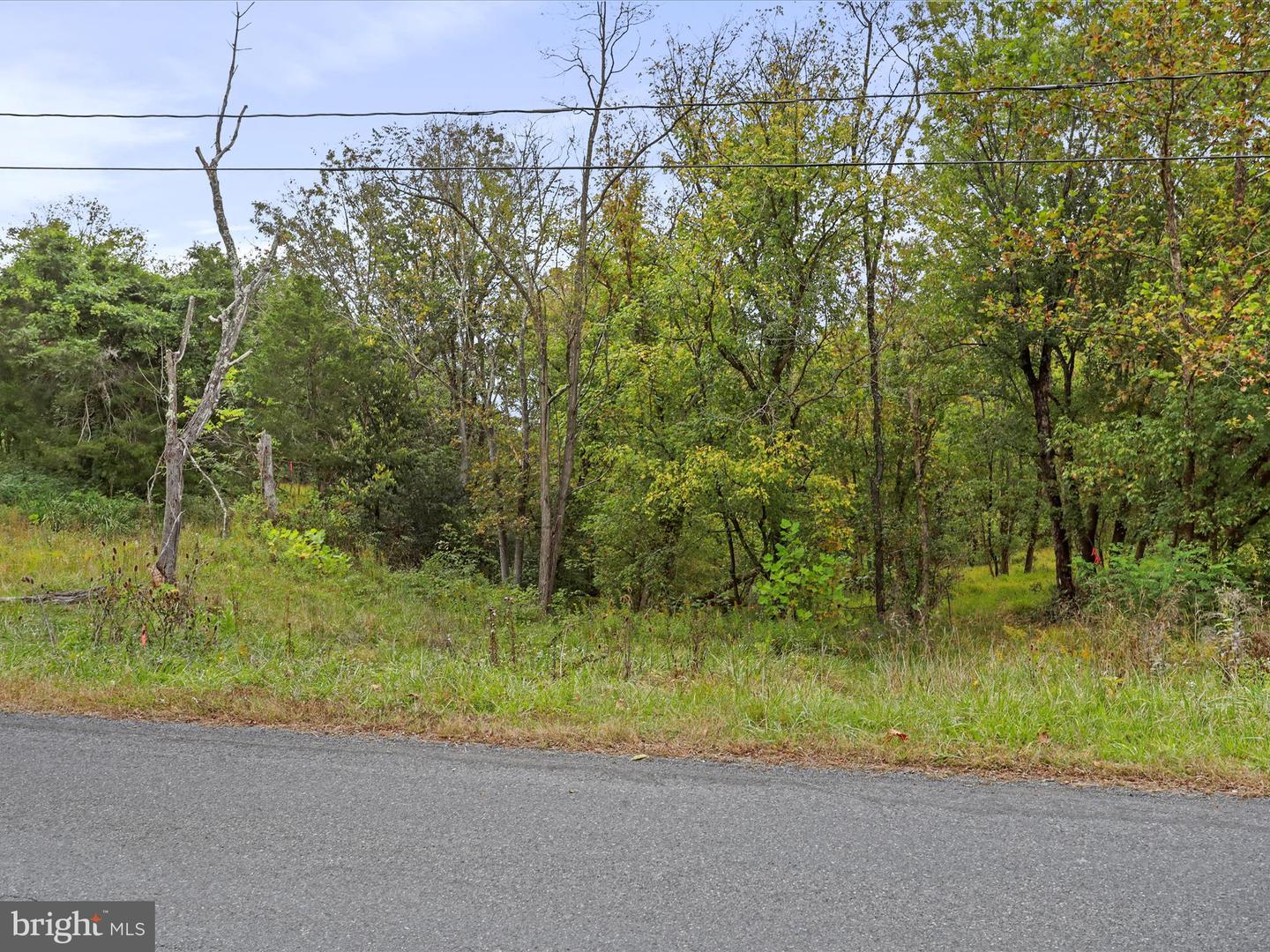 ANDREWS RD, STRASBURG, Virginia 22657, ,Land,For sale,ANDREWS RD,VAWR2012442 MLS # VAWR2012442