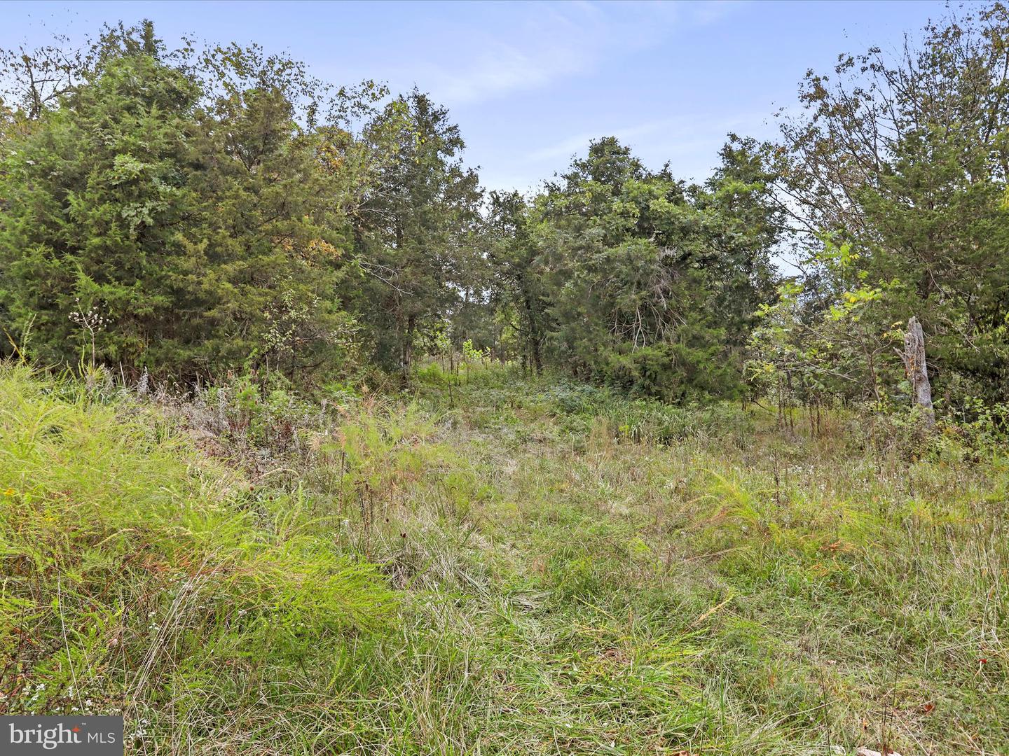 ANDREWS RD, STRASBURG, Virginia 22657, ,Land,For sale,ANDREWS RD,VAWR2012442 MLS # VAWR2012442