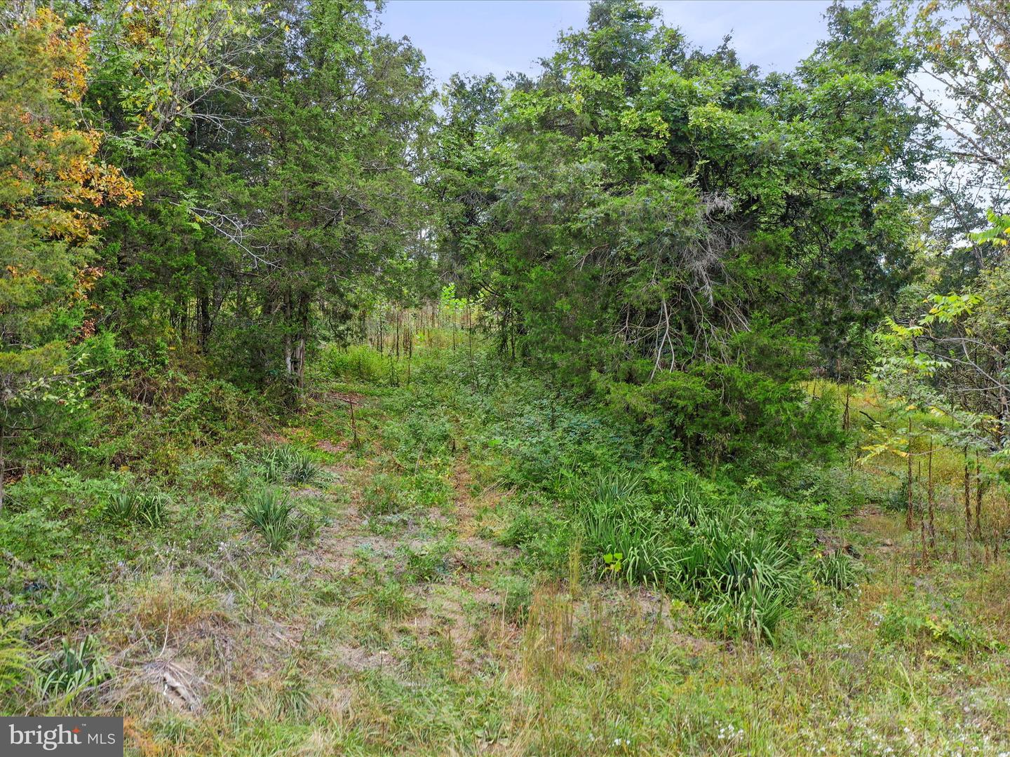 ANDREWS RD, STRASBURG, Virginia 22657, ,Land,For sale,ANDREWS RD,VAWR2012442 MLS # VAWR2012442
