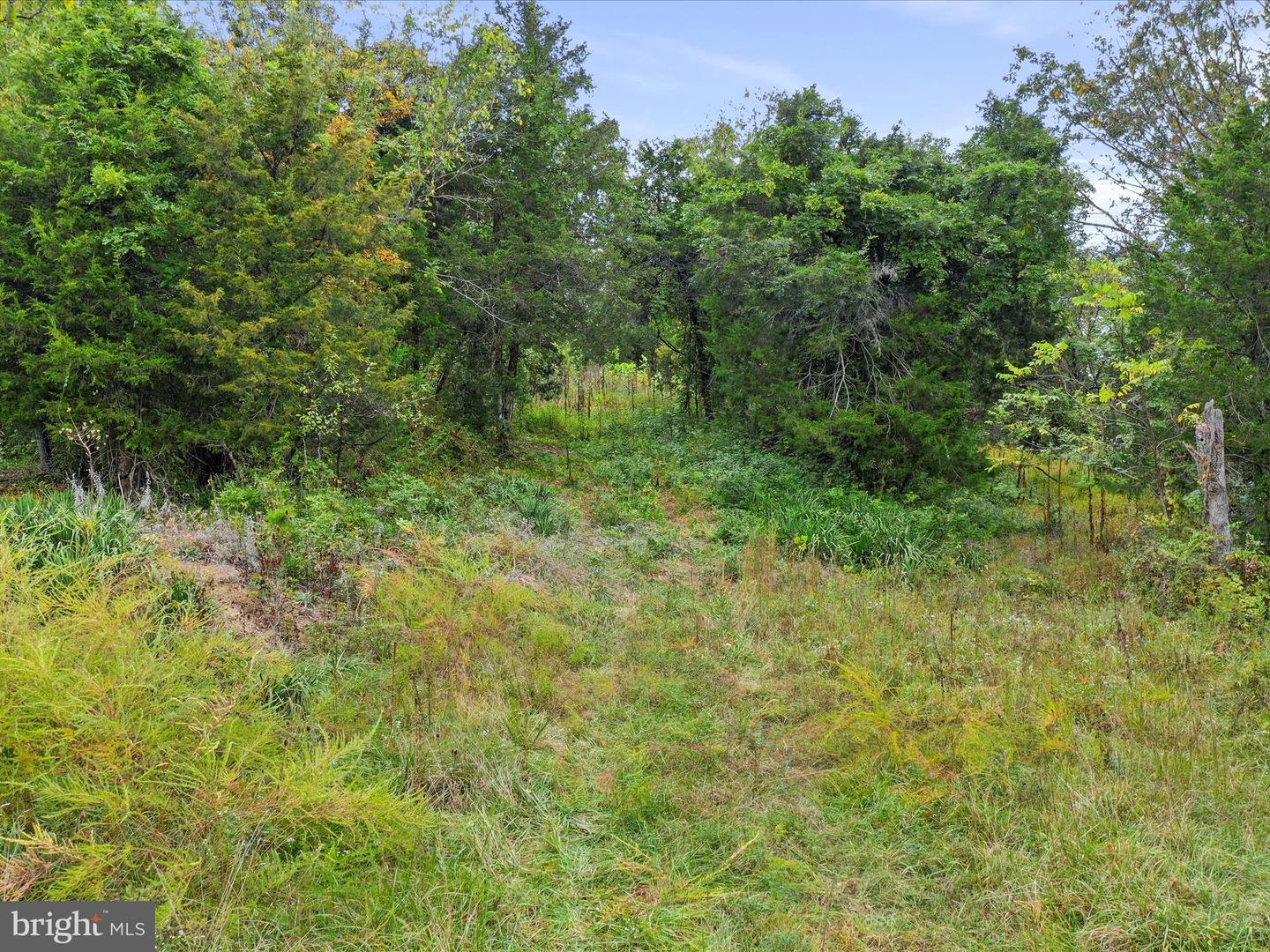 ANDREWS RD, STRASBURG, Virginia 22657, ,Land,For sale,ANDREWS RD,VAWR2012442 MLS # VAWR2012442