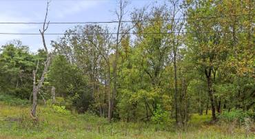 ANDREWS RD, STRASBURG, Virginia 22657, ,Land,For sale,ANDREWS RD,VAWR2012442 MLS # VAWR2012442