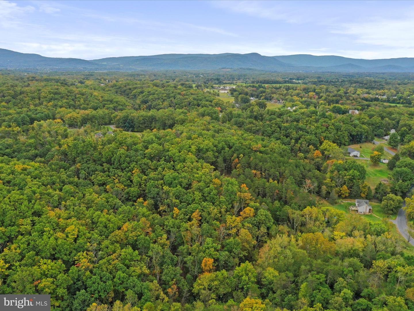 ANDREWS RD, STRASBURG, Virginia 22657, ,Land,For sale,ANDREWS RD,VAWR2012444 MLS # VAWR2012444