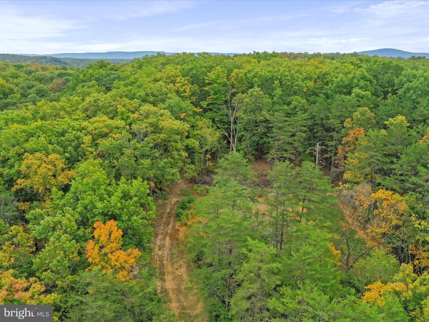 ANDREWS RD, STRASBURG, Virginia 22657, ,Land,For sale,ANDREWS RD,VAWR2012444 MLS # VAWR2012444