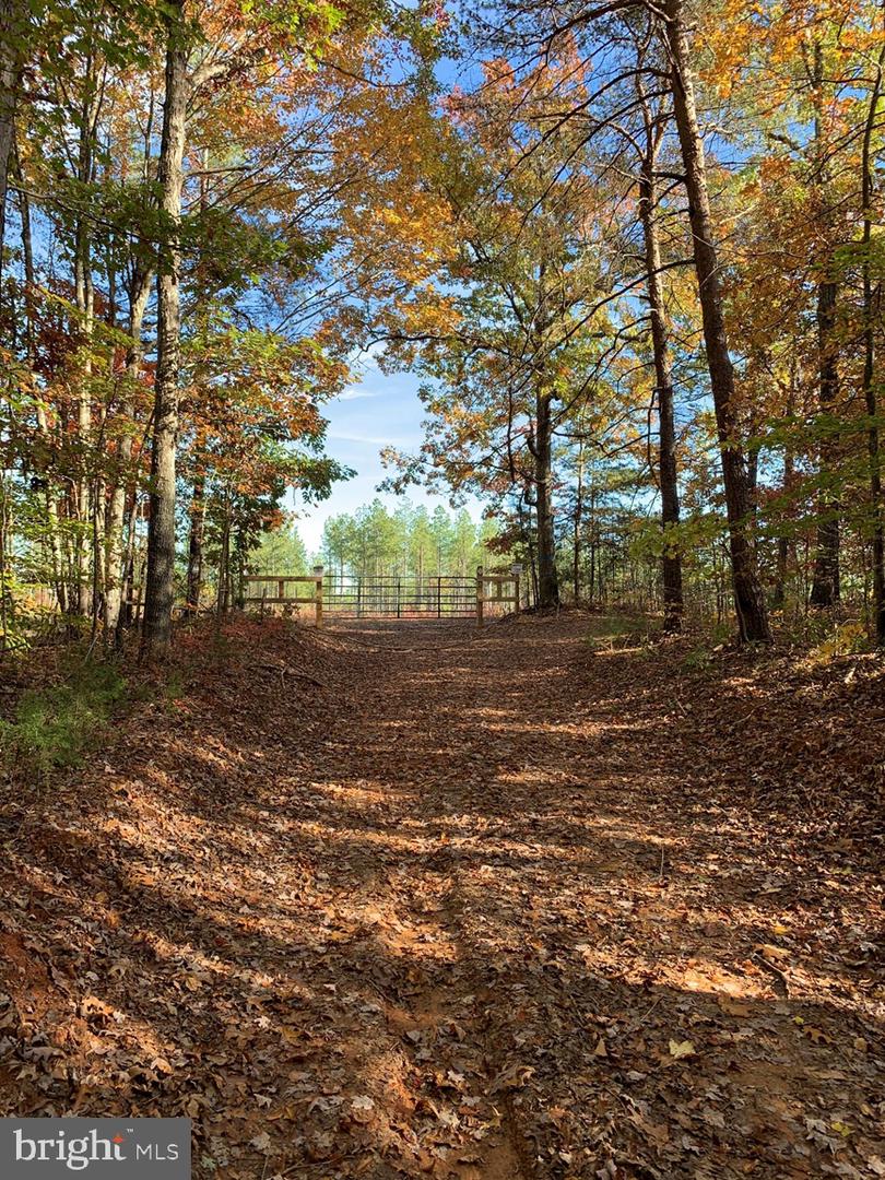 WILDWAY & WATT ABBITT RD (TRACT: BURRUSS &, APPOMATTOX, Virginia 24522, ,Farm,For sale,WILDWAY & WATT ABBITT RD (TRACT: BURRUSS &,VAAV2000040 MLS # VAAV2000040