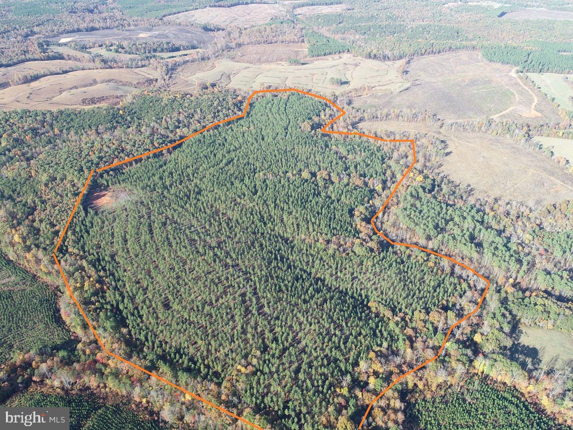 WILDWAY & WATT ABBITT RD (TRACT: BURRUSS &, APPOMATTOX, Virginia 24522, ,Farm,For sale,WILDWAY & WATT ABBITT RD (TRACT: BURRUSS &,VAAV2000040 MLS # VAAV2000040