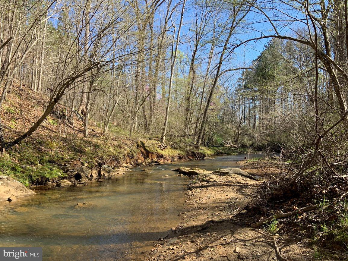 WILDWAY & WATT ABBITT RD (TRACT: BURRUSS &, APPOMATTOX, Virginia 24522, ,Farm,For sale,WILDWAY & WATT ABBITT RD (TRACT: BURRUSS &,VAAV2000040 MLS # VAAV2000040
