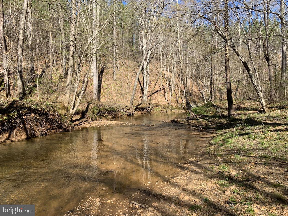 WILDWAY & WATT ABBITT RD (TRACT: BURRUSS &, APPOMATTOX, Virginia 24522, ,Farm,For sale,WILDWAY & WATT ABBITT RD (TRACT: BURRUSS &,VAAV2000040 MLS # VAAV2000040