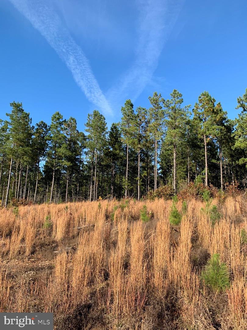 WILDWAY & WATT ABBITT RD (TRACT: BURRUSS &, APPOMATTOX, Virginia 24522, ,Farm,For sale,WILDWAY & WATT ABBITT RD (TRACT: BURRUSS &,VAAV2000040 MLS # VAAV2000040