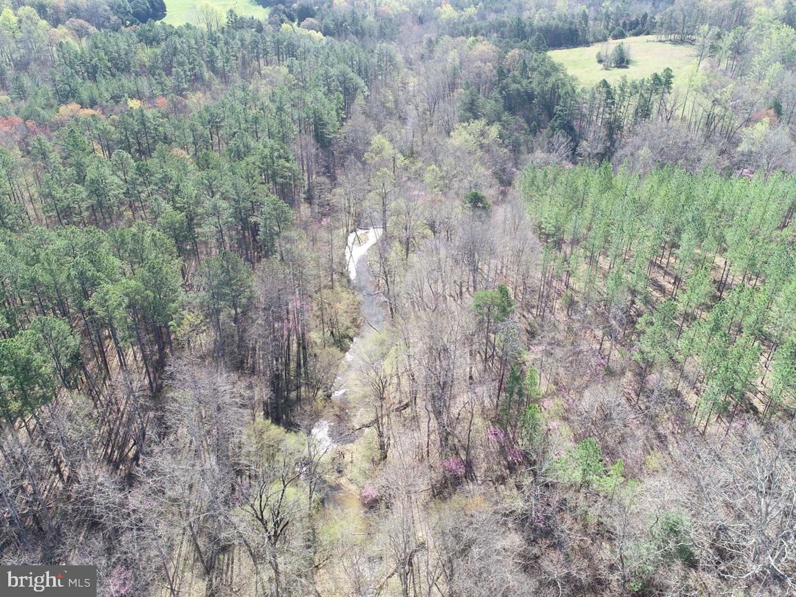 WILDWAY & WATT ABBITT RD (TRACT: BURRUSS &, APPOMATTOX, Virginia 24522, ,Farm,For sale,WILDWAY & WATT ABBITT RD (TRACT: BURRUSS &,VAAV2000040 MLS # VAAV2000040