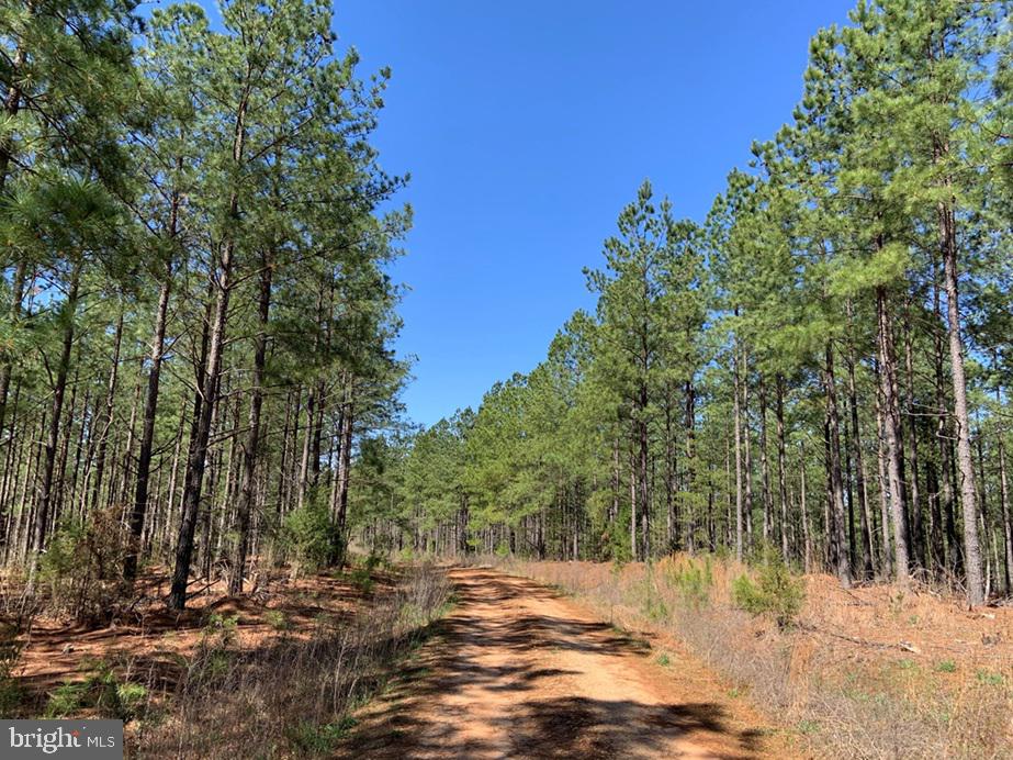 WILDWAY & WATT ABBITT RD (TRACT: BURRUSS &, APPOMATTOX, Virginia 24522, ,Farm,For sale,WILDWAY & WATT ABBITT RD (TRACT: BURRUSS &,VAAV2000040 MLS # VAAV2000040