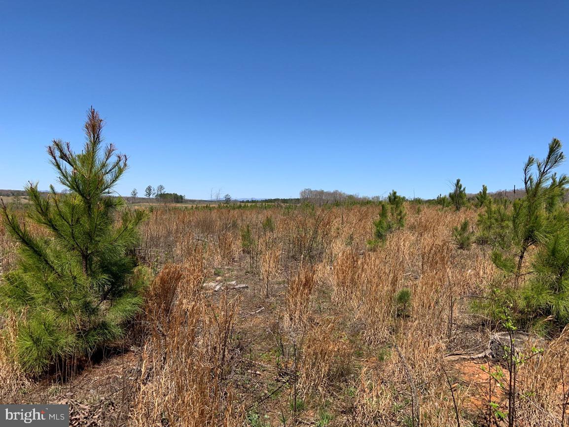 WILDWAY & WATT ABBITT RD (TRACT: BURRUSS &, APPOMATTOX, Virginia 24522, ,Farm,For sale,WILDWAY & WATT ABBITT RD (TRACT: BURRUSS &,VAAV2000040 MLS # VAAV2000040