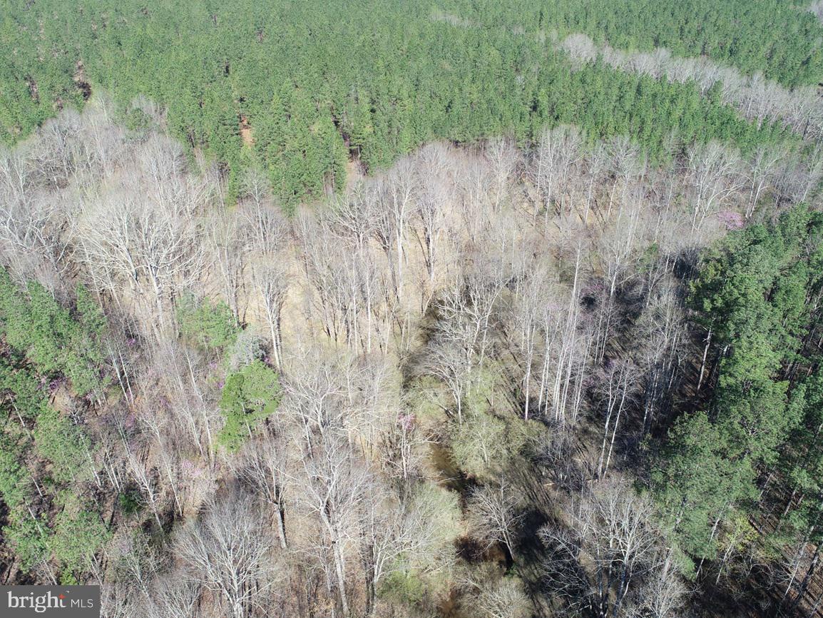 WILDWAY & WATT ABBITT RD (TRACT: BURRUSS &, APPOMATTOX, Virginia 24522, ,Farm,For sale,WILDWAY & WATT ABBITT RD (TRACT: BURRUSS &,VAAV2000040 MLS # VAAV2000040