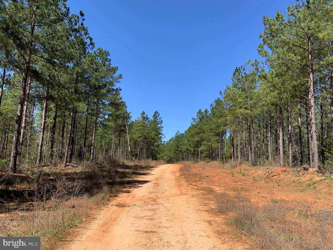WILDWAY & WATT ABBITT RD (TRACT: BURRUSS &, APPOMATTOX, Virginia 24522, ,Farm,For sale,WILDWAY & WATT ABBITT RD (TRACT: BURRUSS &,VAAV2000040 MLS # VAAV2000040