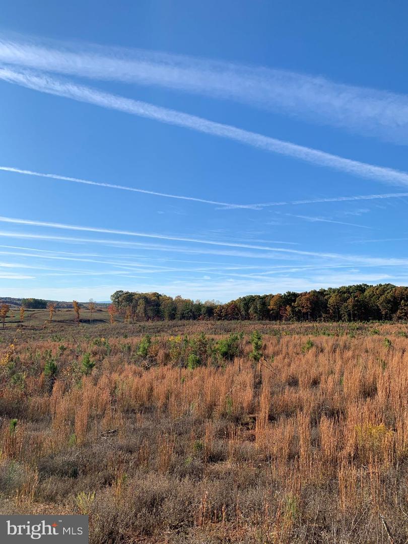 WILDWAY & WATT ABBITT RD (TRACT: BURRUSS &, APPOMATTOX, Virginia 24522, ,Farm,For sale,WILDWAY & WATT ABBITT RD (TRACT: BURRUSS &,VAAV2000040 MLS # VAAV2000040