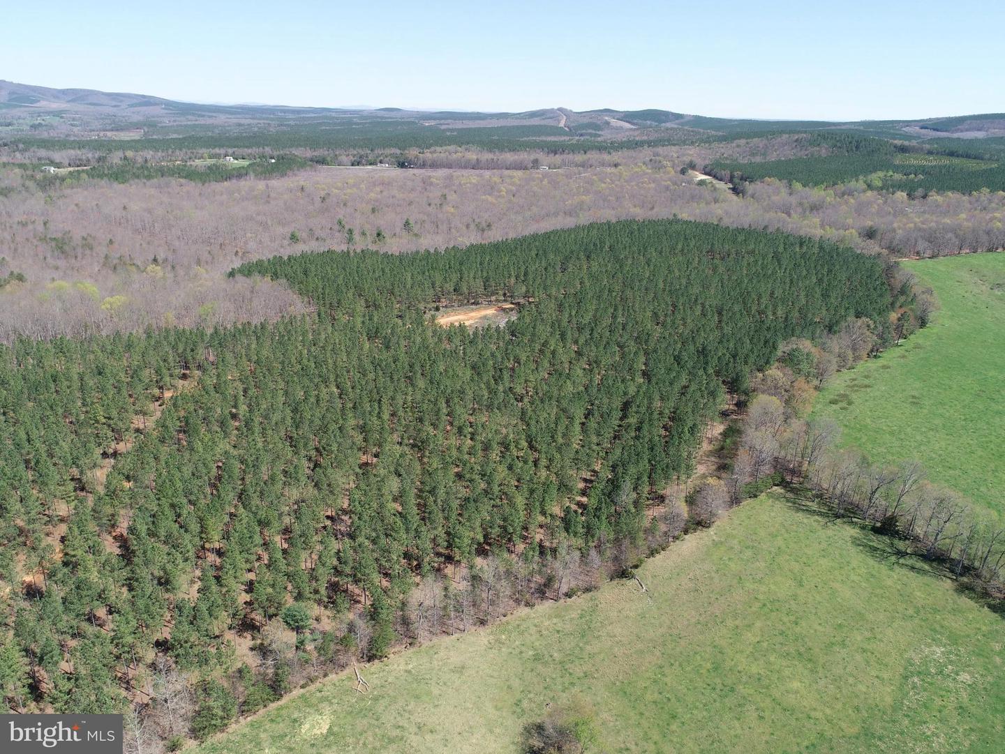 WILDWAY & WATT ABBITT RD (TRACT: BURRUSS &, APPOMATTOX, Virginia 24522, ,Farm,For sale,WILDWAY & WATT ABBITT RD (TRACT: BURRUSS &,VAAV2000040 MLS # VAAV2000040