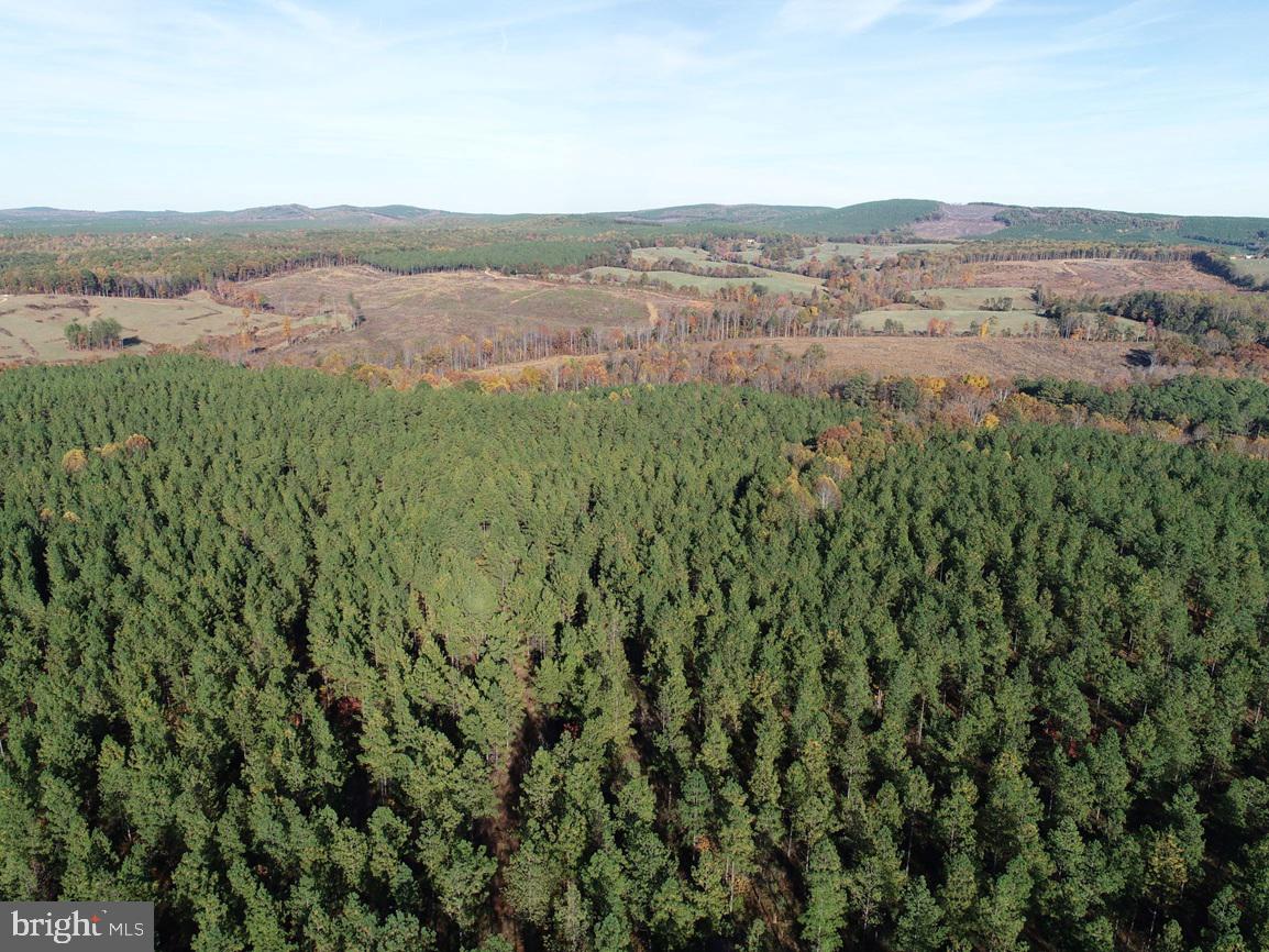 WILDWAY & WATT ABBITT RD (TRACT: BURRUSS &, APPOMATTOX, Virginia 24522, ,Farm,For sale,WILDWAY & WATT ABBITT RD (TRACT: BURRUSS &,VAAV2000040 MLS # VAAV2000040