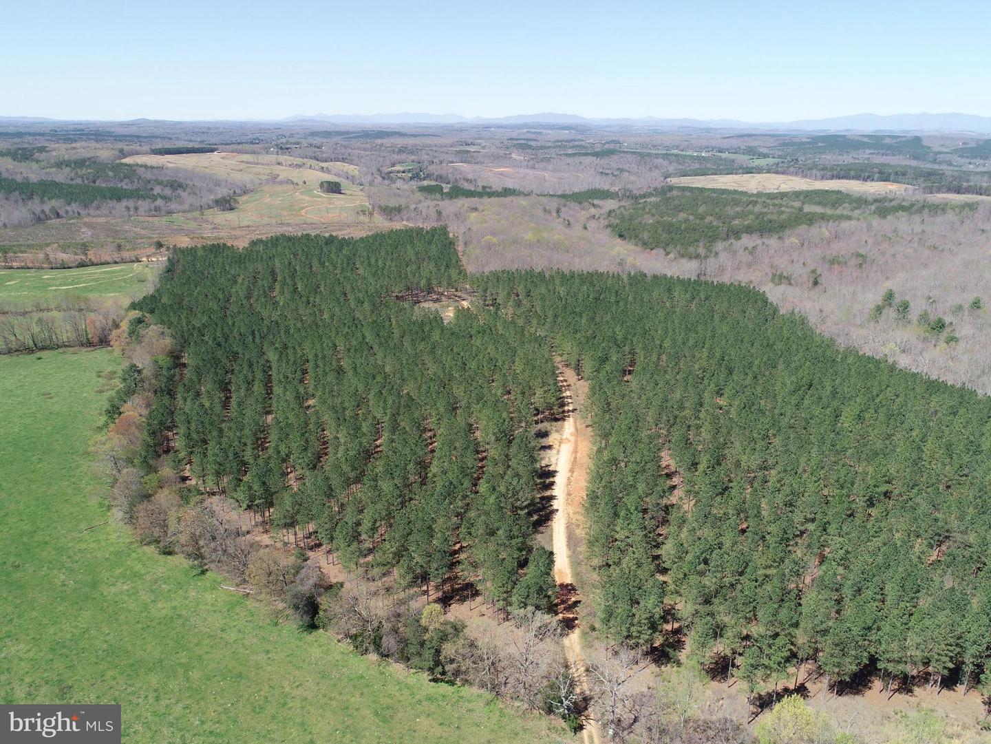 WILDWAY & WATT ABBITT RD (TRACT: BURRUSS &, APPOMATTOX, Virginia 24522, ,Farm,For sale,WILDWAY & WATT ABBITT RD (TRACT: BURRUSS &,VAAV2000040 MLS # VAAV2000040