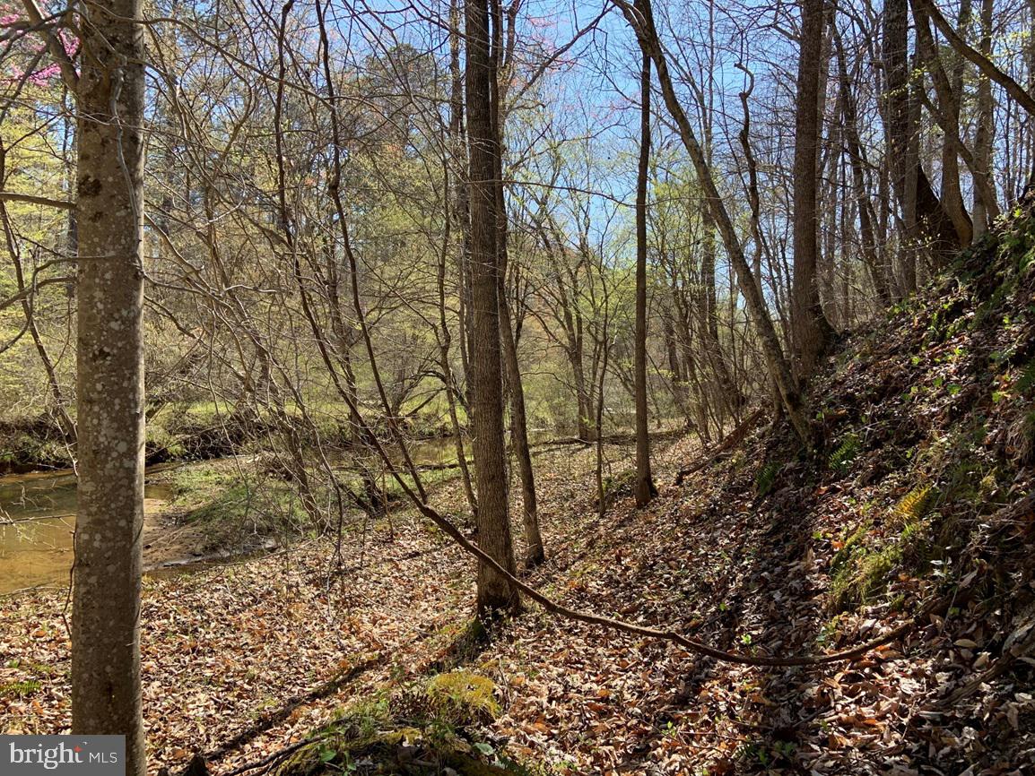 WILDWAY & WATT ABBITT RD (TRACT: BURRUSS &, APPOMATTOX, Virginia 24522, ,Farm,For sale,WILDWAY & WATT ABBITT RD (TRACT: BURRUSS &,VAAV2000040 MLS # VAAV2000040