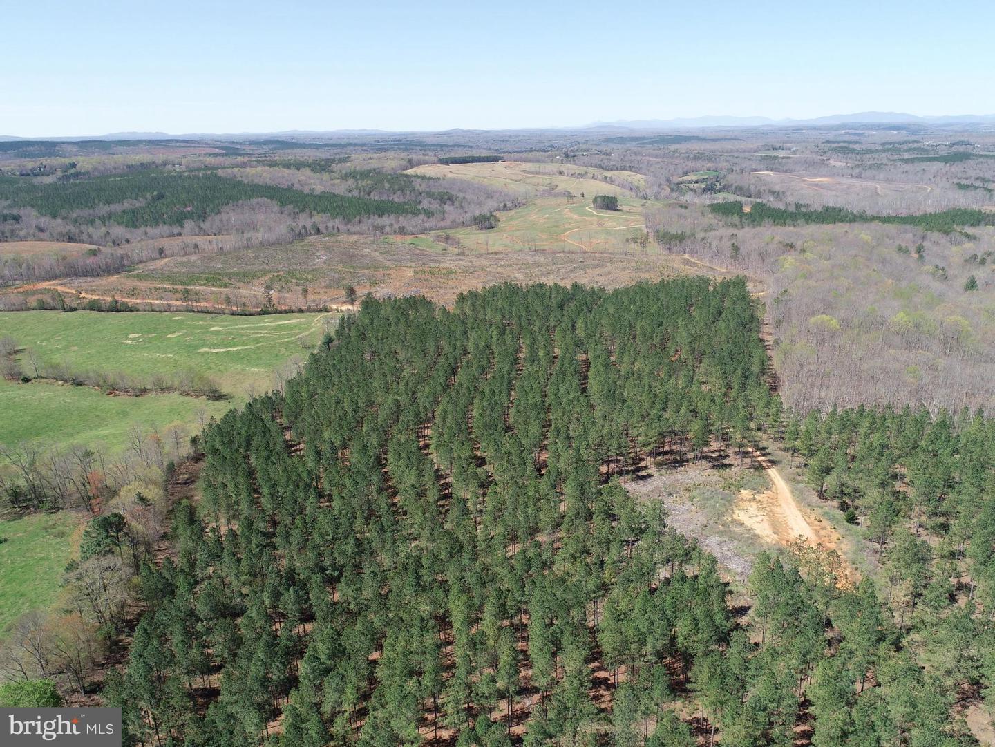 WILDWAY & WATT ABBITT RD (TRACT: BURRUSS &, APPOMATTOX, Virginia 24522, ,Farm,For sale,WILDWAY & WATT ABBITT RD (TRACT: BURRUSS &,VAAV2000040 MLS # VAAV2000040