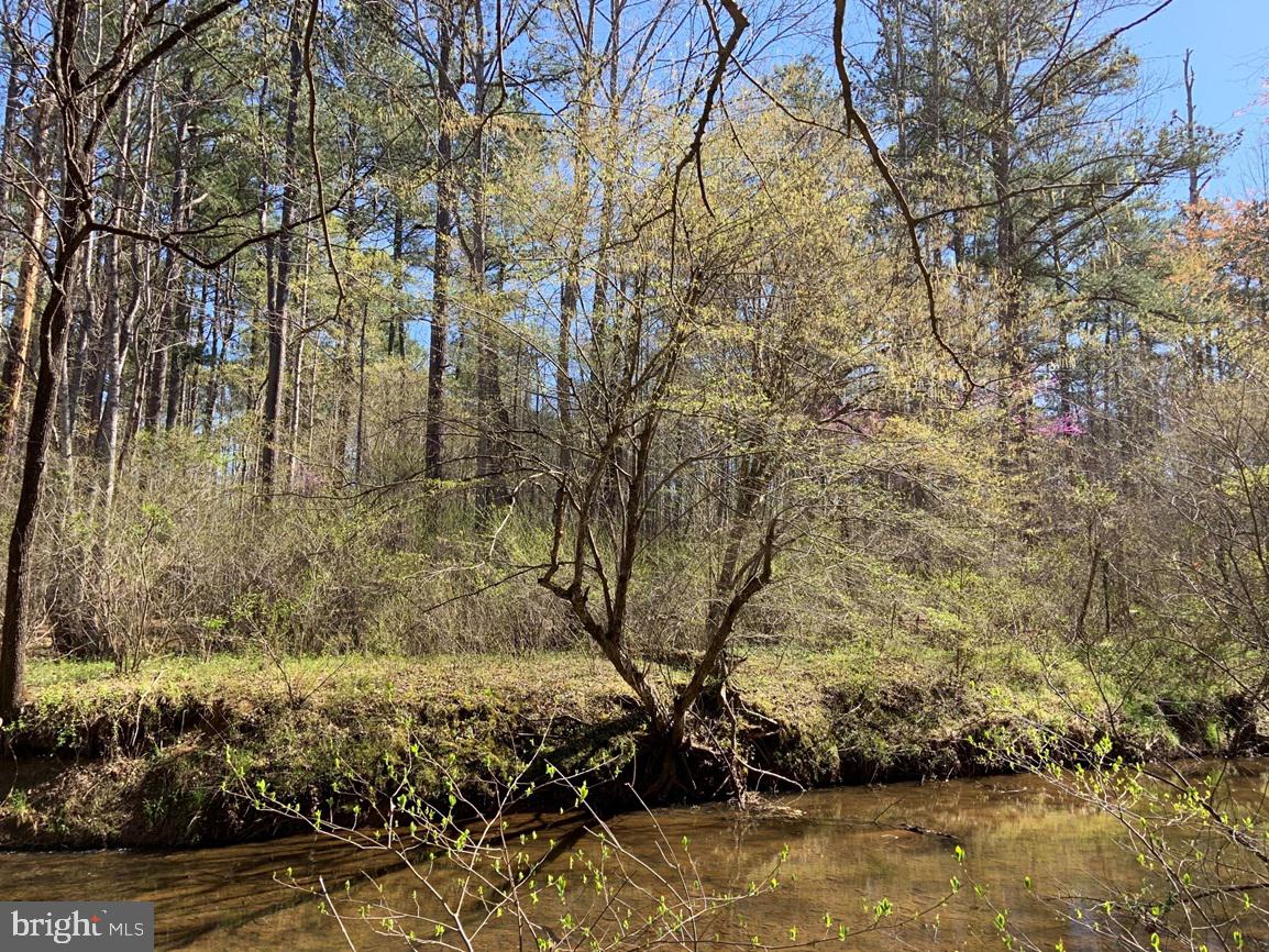 WILDWAY & WATT ABBITT RD (TRACT: BURRUSS &, APPOMATTOX, Virginia 24522, ,Farm,For sale,WILDWAY & WATT ABBITT RD (TRACT: BURRUSS &,VAAV2000040 MLS # VAAV2000040
