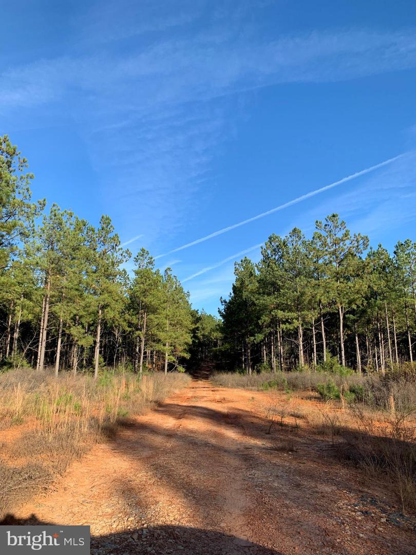 WILDWAY & WATT ABBITT RD (TRACT: BURRUSS &, APPOMATTOX, Virginia 24522, ,Farm,For sale,WILDWAY & WATT ABBITT RD (TRACT: BURRUSS &,VAAV2000040 MLS # VAAV2000040