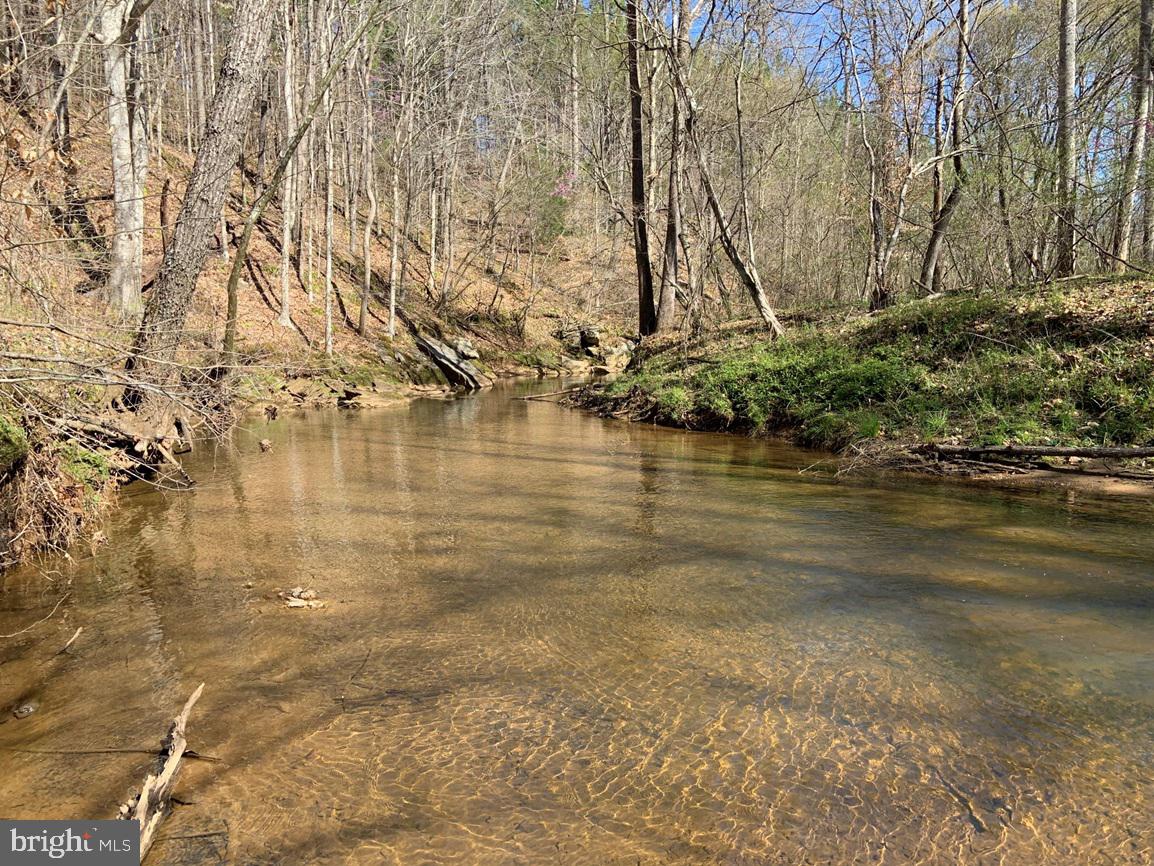 WILDWAY & WATT ABBITT RD (TRACT: BURRUSS &, APPOMATTOX, Virginia 24522, ,Farm,For sale,WILDWAY & WATT ABBITT RD (TRACT: BURRUSS &,VAAV2000040 MLS # VAAV2000040