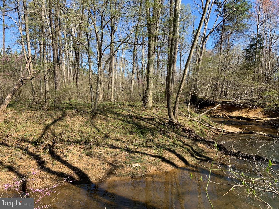 WILDWAY & WATT ABBITT RD (TRACT: BURRUSS &, APPOMATTOX, Virginia 24522, ,Farm,For sale,WILDWAY & WATT ABBITT RD (TRACT: BURRUSS &,VAAV2000040 MLS # VAAV2000040