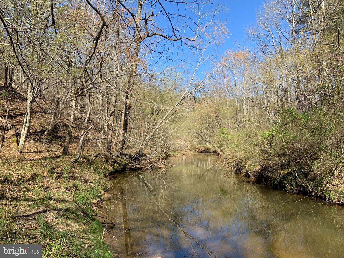 WILDWAY & WATT ABBITT RD (TRACT: BURRUSS &, APPOMATTOX, Virginia 24522, ,Farm,For sale,WILDWAY & WATT ABBITT RD (TRACT: BURRUSS &,VAAV2000040 MLS # VAAV2000040