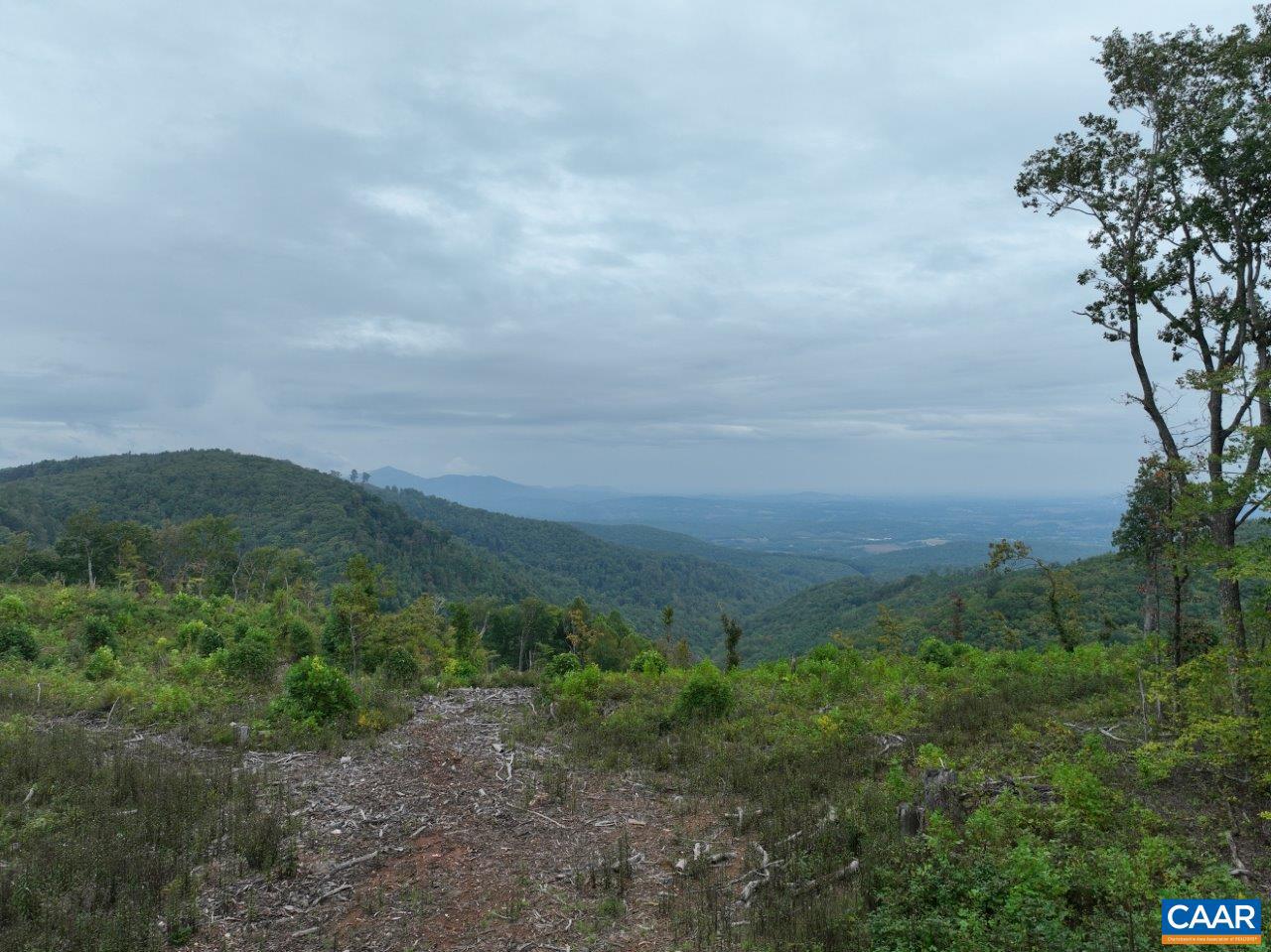 0 FOOTHILLS RD, CALLAWAY, Virginia 24067, ,Farm,For sale,0 FOOTHILLS RD,669617 MLS # 669617