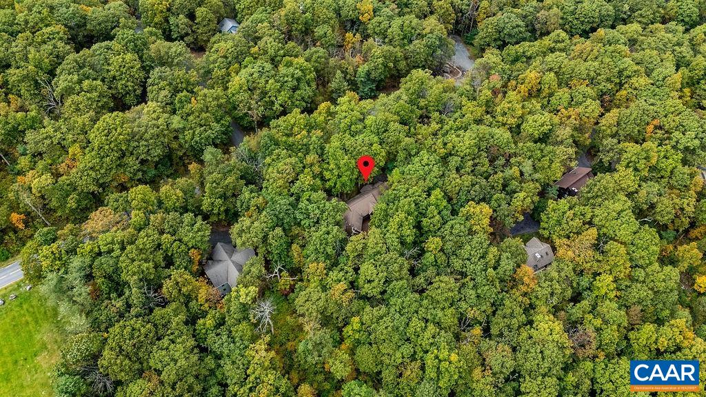 1228 LAUREL SPRINGS DR, WINTERGREEN RESORT, Virginia 22967, 5 Bedrooms Bedrooms, ,2 BathroomsBathrooms,Residential,1228 LAUREL SPRINGS DR,669613 MLS # 669613