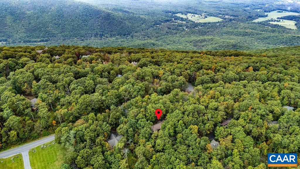 1228 LAUREL SPRINGS DR, WINTERGREEN RESORT, Virginia 22967, 5 Bedrooms Bedrooms, ,2 BathroomsBathrooms,Residential,1228 LAUREL SPRINGS DR,669613 MLS # 669613