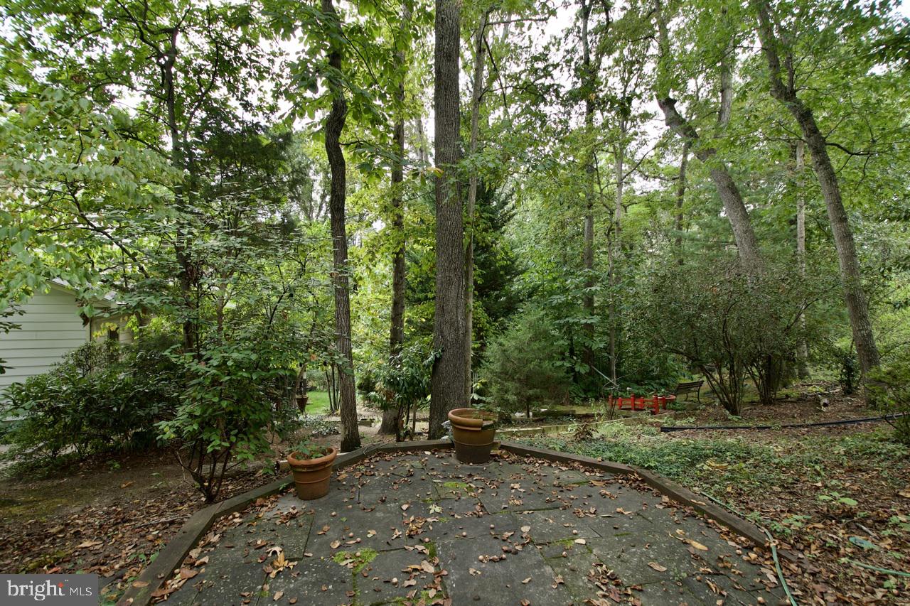 2801 MINTWOOD CT, WOODBRIDGE, Virginia 22192, 3 Bedrooms Bedrooms, ,2 BathroomsBathrooms,Residential,For sale,2801 MINTWOOD CT,VAPW2104672 MLS # VAPW2104672