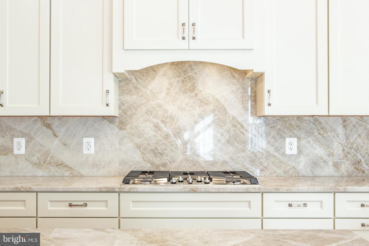 3494 AUDUBON CV, OAK HILL, Virginia 20171, 4 Bedrooms Bedrooms, 10 Rooms Rooms,4 BathroomsBathrooms,Residential,For sale,3494 AUDUBON CV,VAFX2269866 MLS # VAFX2269866