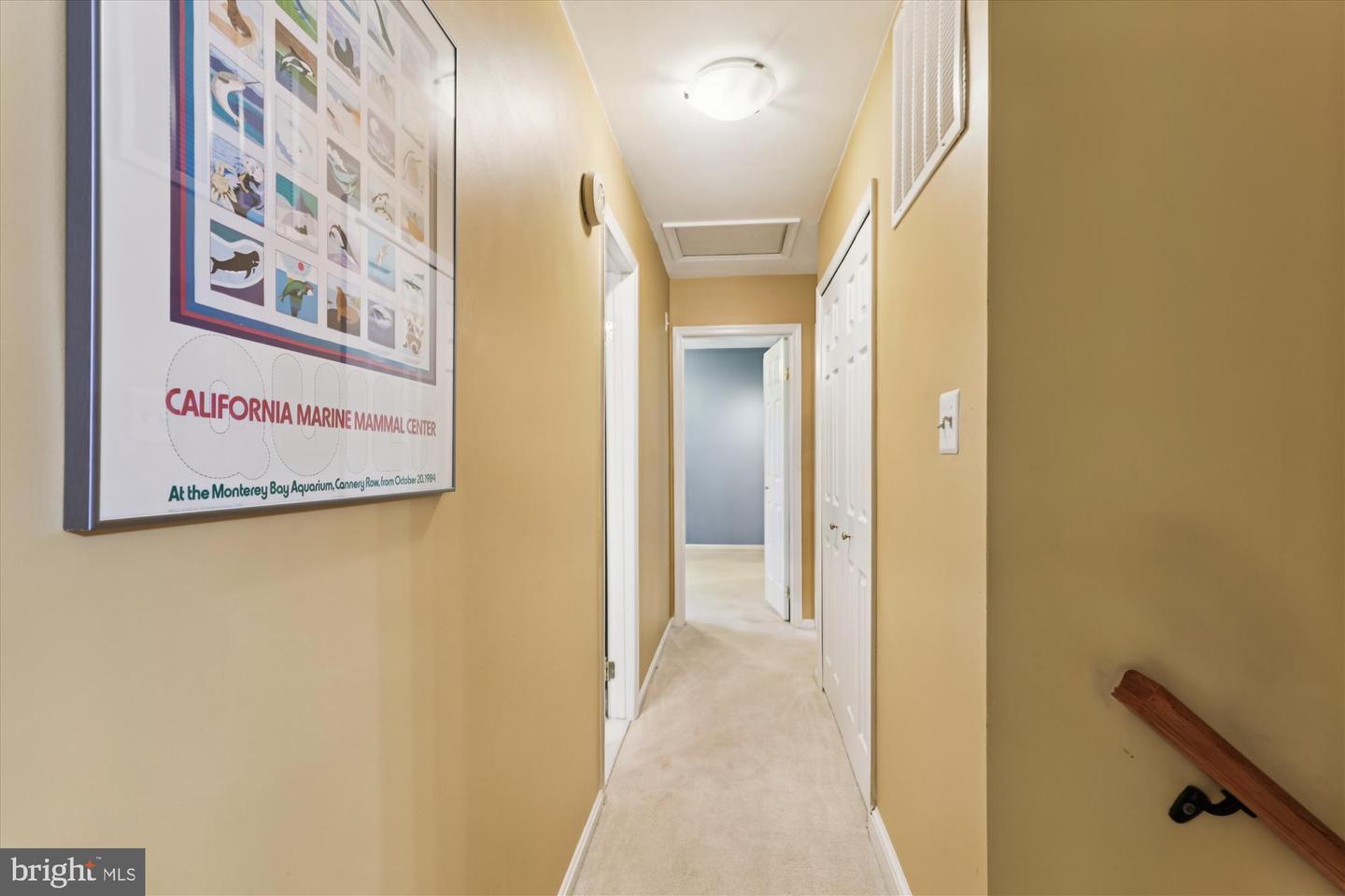 9352 CHESTNUT KNOLLS DR, FAIRFAX, Virginia 22032, 4 Bedrooms Bedrooms, ,3 BathroomsBathrooms,Residential,For sale,9352 CHESTNUT KNOLLS DR,VAFX2270022 MLS # VAFX2270022