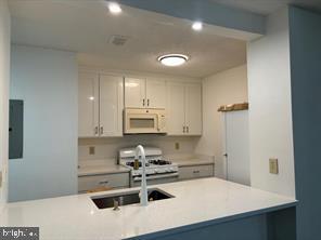 ASHBURN, Virginia 20147, 2 Bedrooms Bedrooms, ,2 BathroomsBathrooms,Residential,For sale,VALO2108130 MLS # VALO2108130
