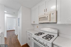 ASHBURN, Virginia 20147, 2 Bedrooms Bedrooms, ,2 BathroomsBathrooms,Residential,For sale,VALO2108130 MLS # VALO2108130