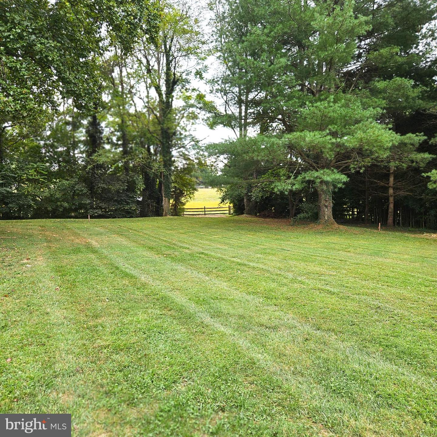 7 SKYLINE LN, WASHINGTON, Virginia 22747, 3 Bedrooms Bedrooms, ,2 BathroomsBathrooms,Residential,For sale,7 SKYLINE LN,VARP2002300 MLS # VARP2002300