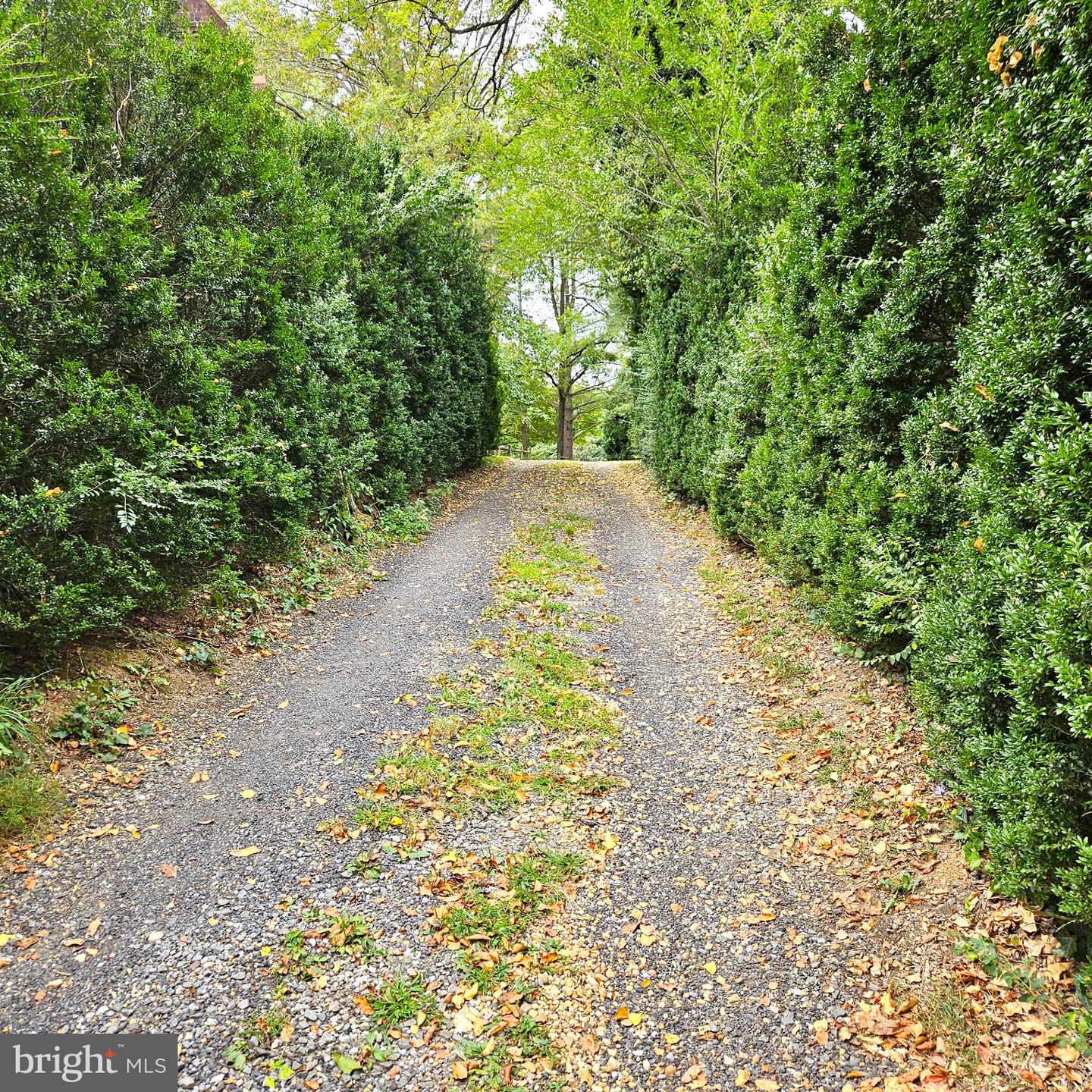 7 SKYLINE LN, WASHINGTON, Virginia 22747, 3 Bedrooms Bedrooms, ,2 BathroomsBathrooms,Residential,For sale,7 SKYLINE LN,VARP2002300 MLS # VARP2002300