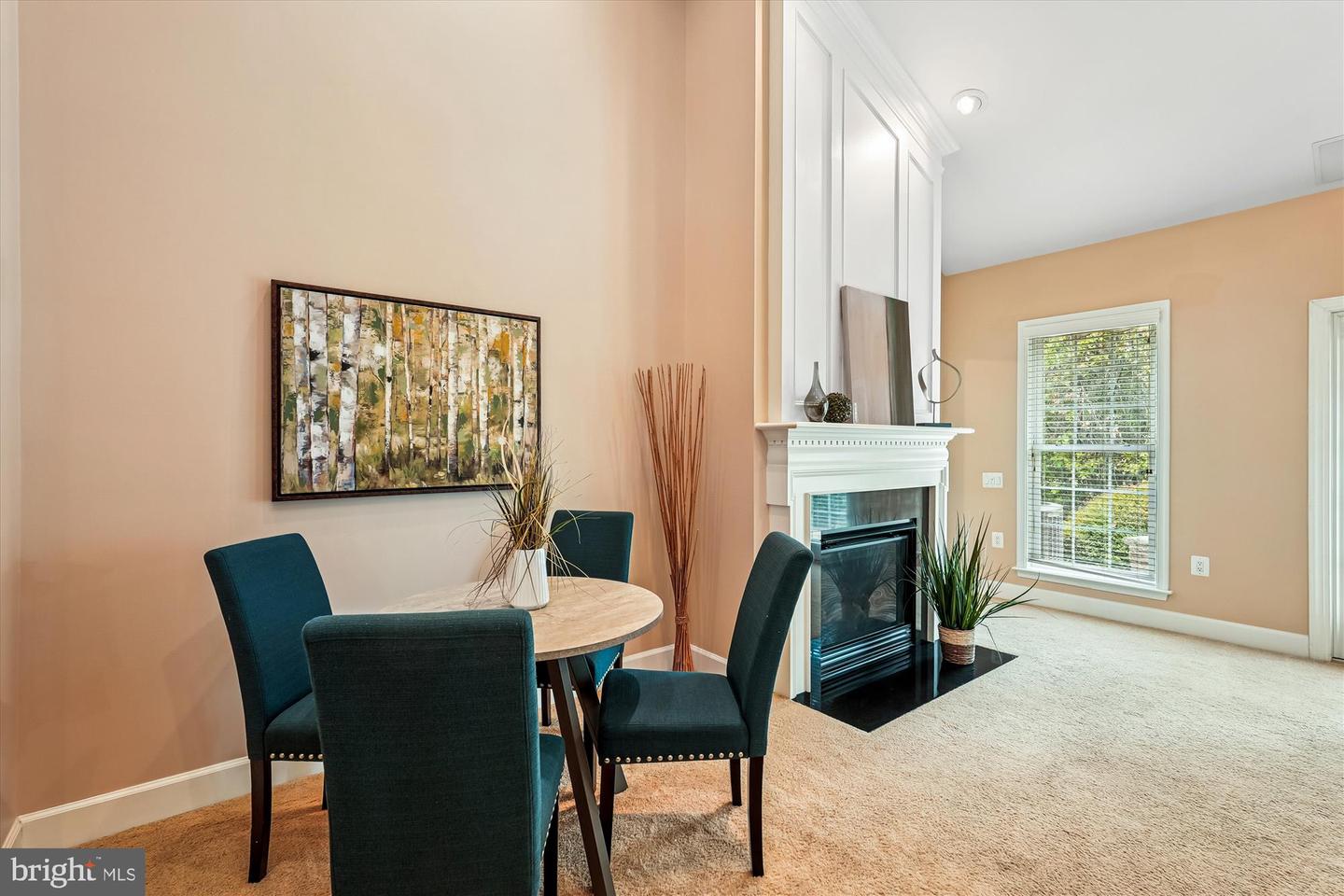 20754 ADAMS MILL PL, ASHBURN, Virginia 20147, 3 Bedrooms Bedrooms, ,3 BathroomsBathrooms,Residential,For sale,20754 ADAMS MILL PL,VALO2107998 MLS # VALO2107998