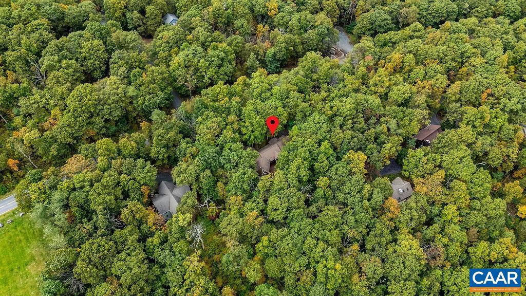 1228 LAUREL SPRINGS DR, WINTERGREEN RESORT, Virginia 22967, 5 Bedrooms Bedrooms, ,2 BathroomsBathrooms,Residential,For sale,1228 LAUREL SPRINGS DR,669613 MLS # 669613