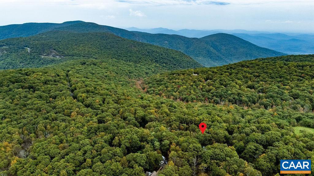 1228 LAUREL SPRINGS DR, WINTERGREEN RESORT, Virginia 22967, 5 Bedrooms Bedrooms, ,2 BathroomsBathrooms,Residential,For sale,1228 LAUREL SPRINGS DR,669613 MLS # 669613