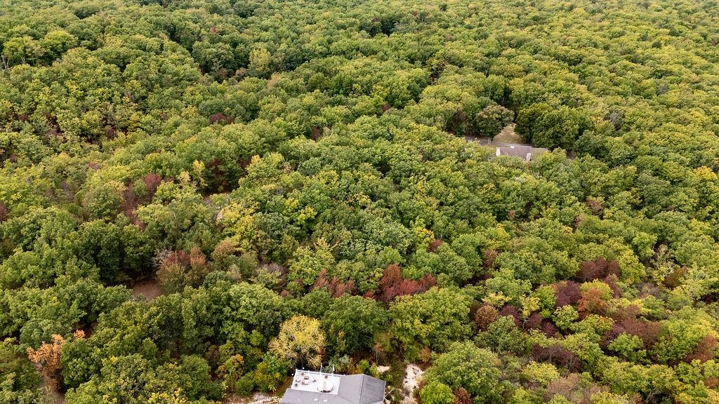 TBD MOUNTAIN RIDGE LN, WAYNESBORO, Virginia 22980, ,Land,TBD MOUNTAIN RIDGE LN,669630 MLS # 669630