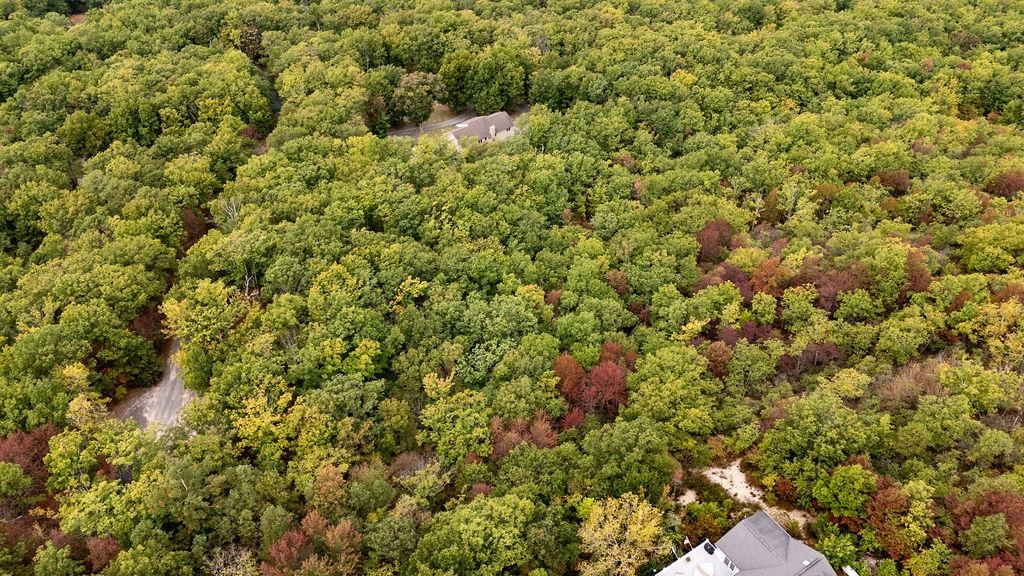 TBD MOUNTAIN RIDGE LN, WAYNESBORO, Virginia 22980, ,Land,TBD MOUNTAIN RIDGE LN,669630 MLS # 669630