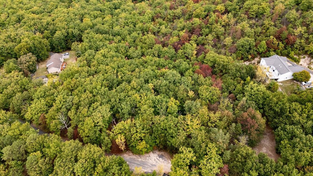 TBD MOUNTAIN RIDGE LN, WAYNESBORO, Virginia 22980, ,Land,TBD MOUNTAIN RIDGE LN,669630 MLS # 669630
